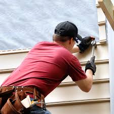 Best Historical Building Siding Restoration  in Waterloo, IL